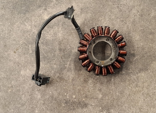 Dynamo Triumph Speed triple RS