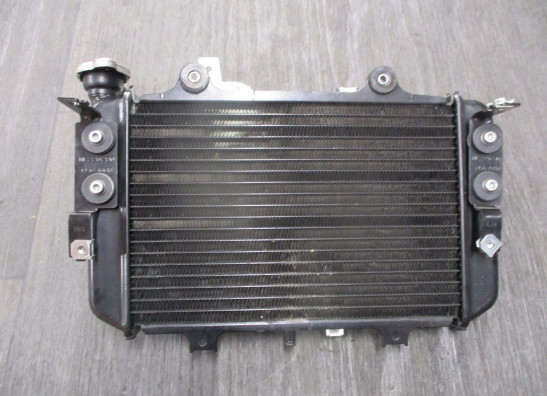 Radiateur BMW G 310 GS