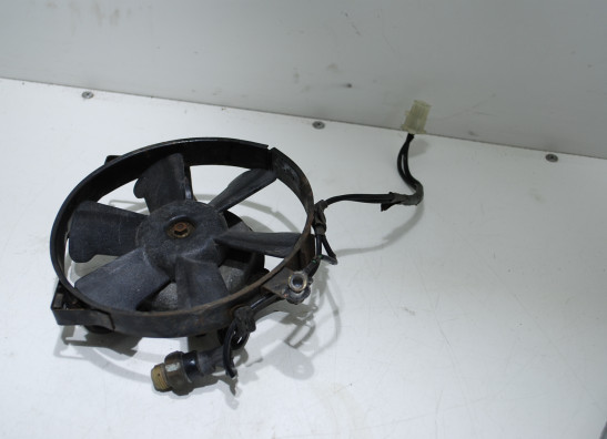 Fan Honda TRANSALP