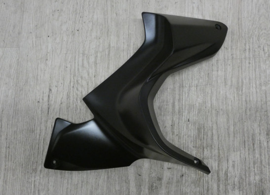 Untere verkleidung links BMW R 1250 RT