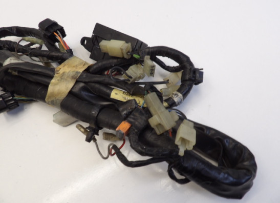 Wire Harness Yamaha FAZER 600