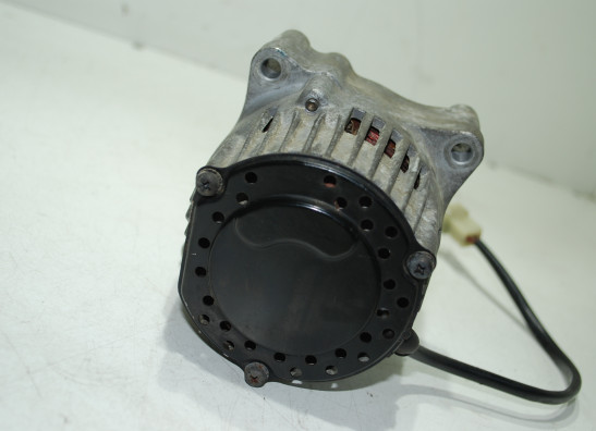 Dynamo Yamaha GTS 1000