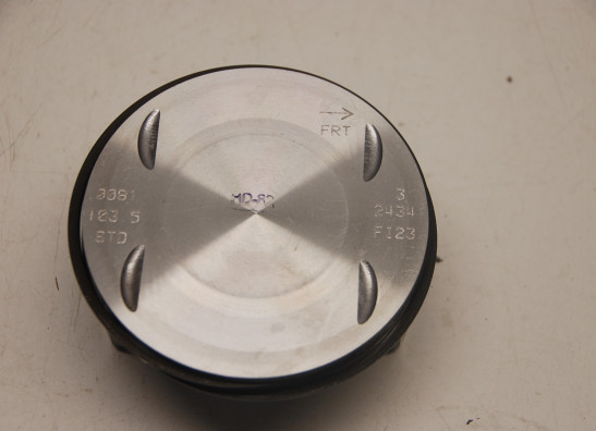 Cilinderblok Harley Davidson Softtail