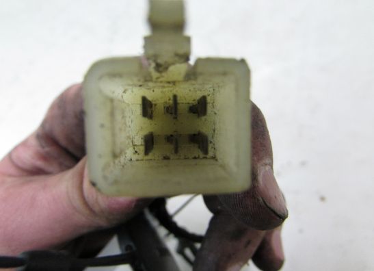 Wire harness front Kawasaki GPX 600