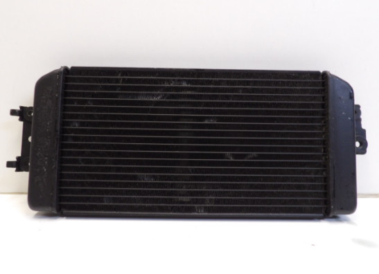 Kuhler Suzuki VL 800