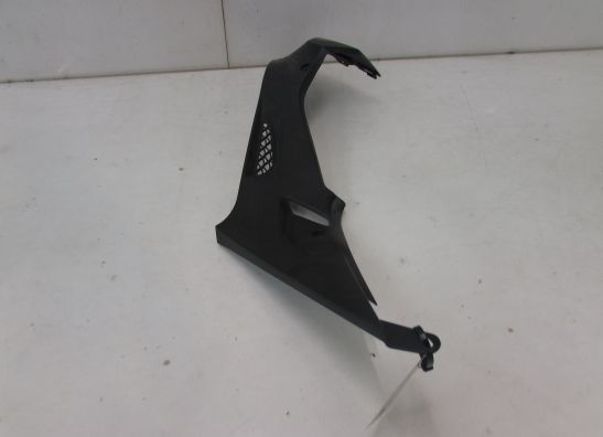 Linker zijkuip klein BMW S 1000 RR