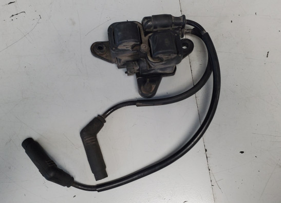 Bobine Aprilia Tuono 1000 2006-2008