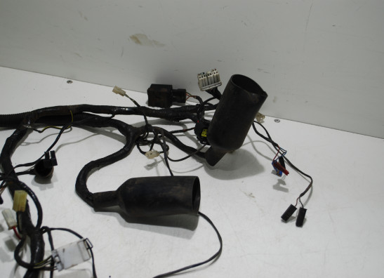 Wire Harness Triumph 900 Daytona