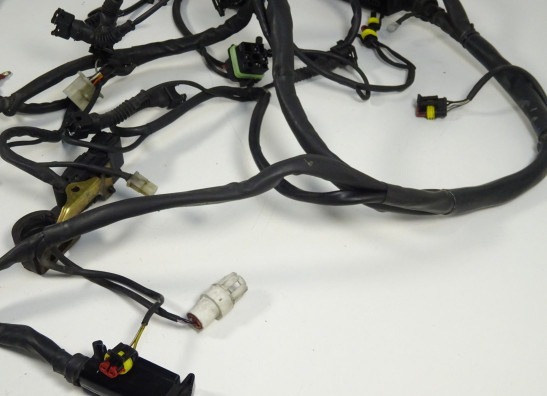 Kabelboom Ducati ST4