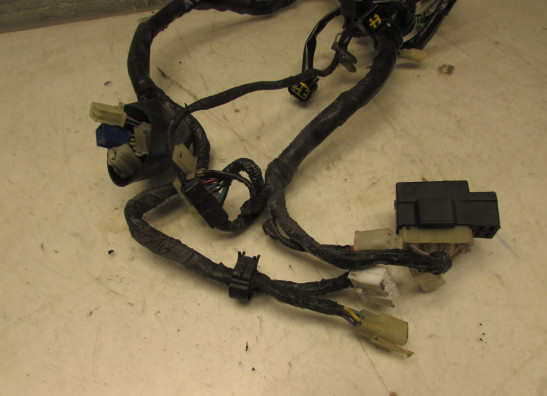 Kabelboom Yamaha YZF 600 Thundercat