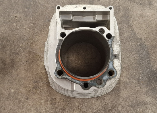 Zylinder Yamaha XV 1100 Virago