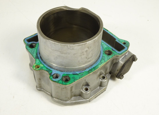 Zylinder Aprilia Dorsoduro 750