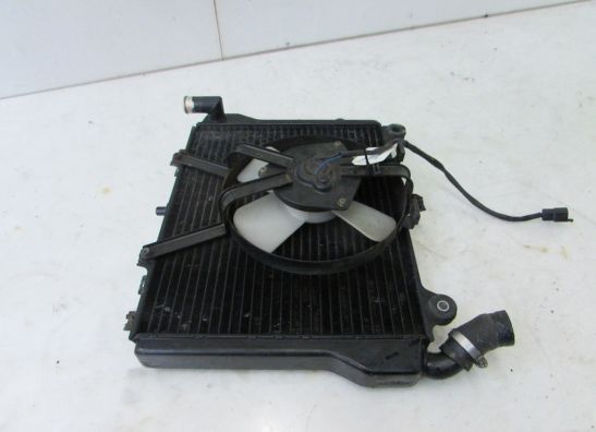 Radiator Kawasaki GPZ 1100