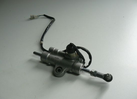 Lenkungs Dampfer Yamaha YZF R1