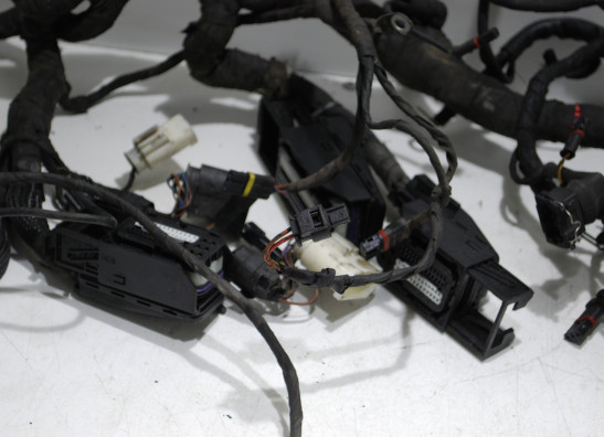 Kabelbaum BMW R 1200 RT