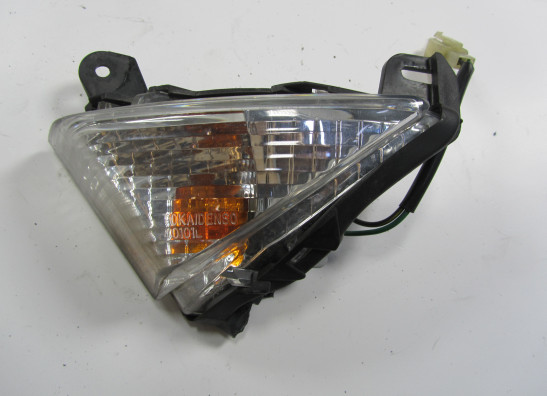 Knipperlicht links voor Kawasaki Z 1000