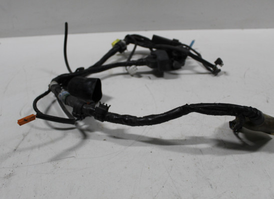Wire harness front Honda ST 1300 Pan European
