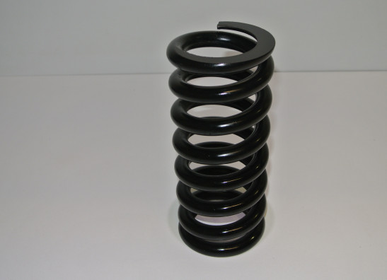 Stossdampfer hinten BMW F 800