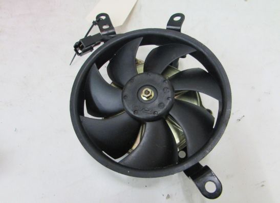 Fan Kawasaki ZX 10 R