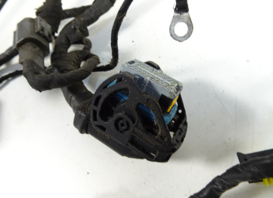 Wire Harness Ducati 749  999