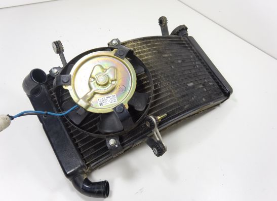 Radiator Ducati ST2