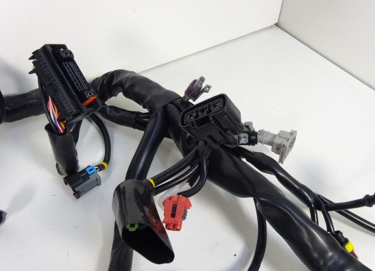 Kabelboom Benelli 302 R