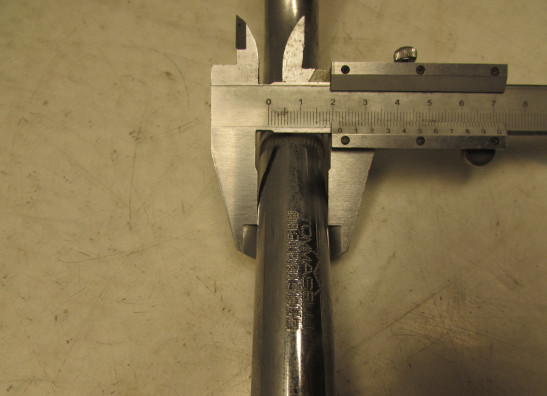 Steer Overig Onbekend Unknown