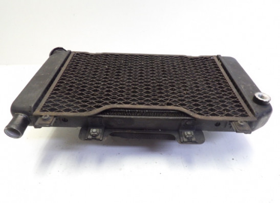 Radiator Yamaha TDM