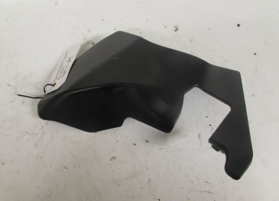 Sonstiges Aprilia Tuono 1000