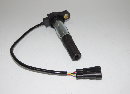 Bobine Moto Guzzi V 100 Mandello