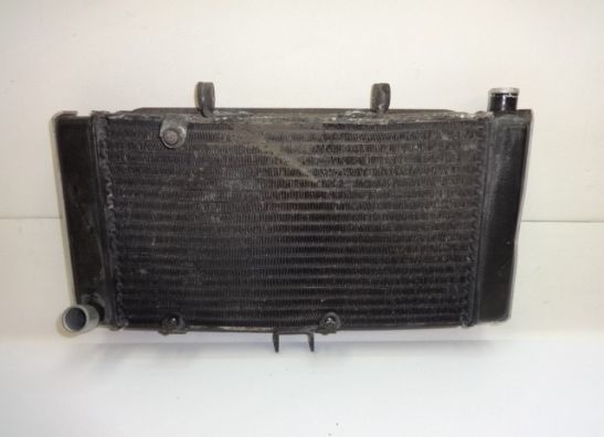 Radiator Suzuki GSF 400 Bandit