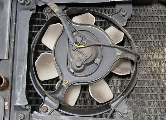 Radiator Kawasaki ZL 900 Eliminator