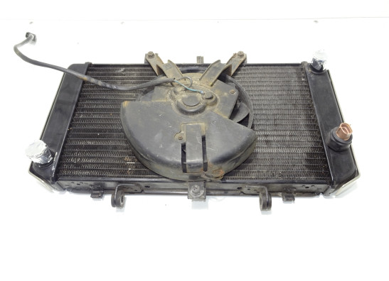 Kuhler Kawasaki Z 750