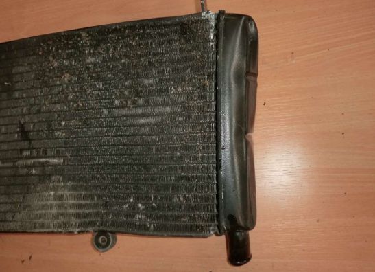 Kuhler Yamaha FZR 600