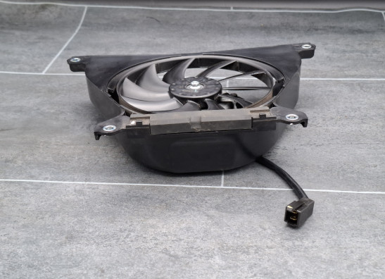 Fan Kawasaki Z 650