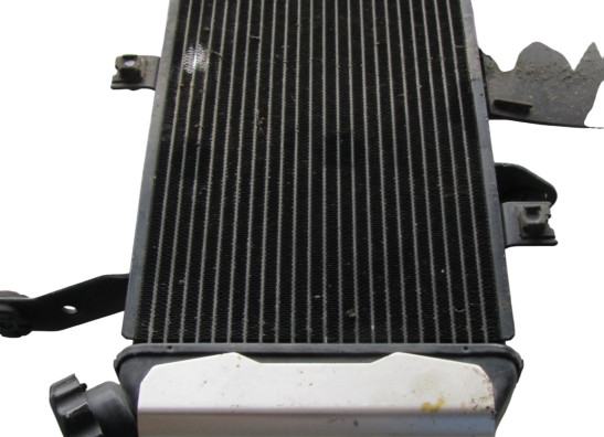 Kuhler Suzuki SV 650