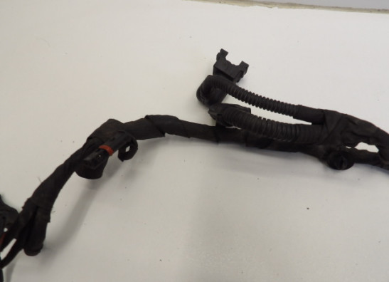 Kabelboom BMW R 1200 GS