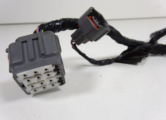 Kabelbaum Kawasaki Z 1000