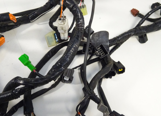 Kabelbaum Suzuki GSX F 650