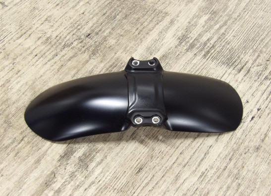 Voorspatbord BMW R Nine T Pure 2015-2020