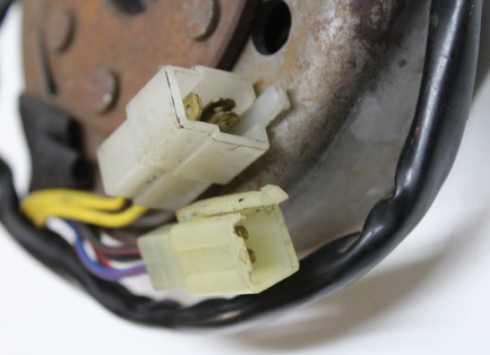 Dynamo Suzuki RG 500