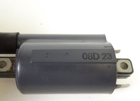 Bobine Ducati Monster 800