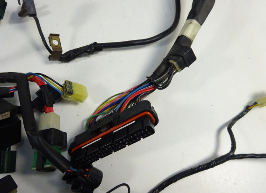 Wire Harness Yamaha TDM