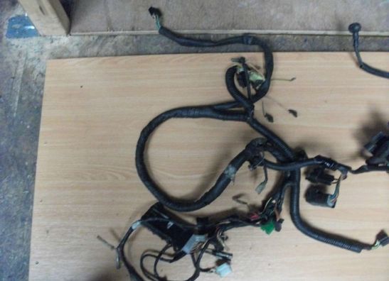 Wire Harness Suzuki GSX F 1100