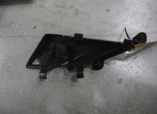 Overig Aprilia Tuono 1000