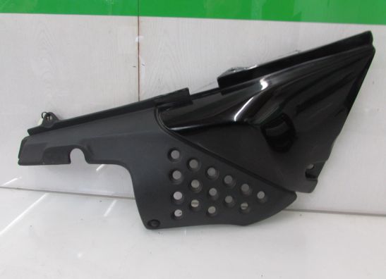Rechter achterkant Triumph Tiger 900