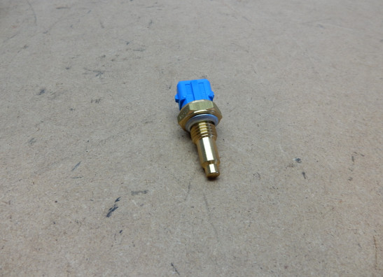 Sensor - overige elektronica Moto Guzzi California EV