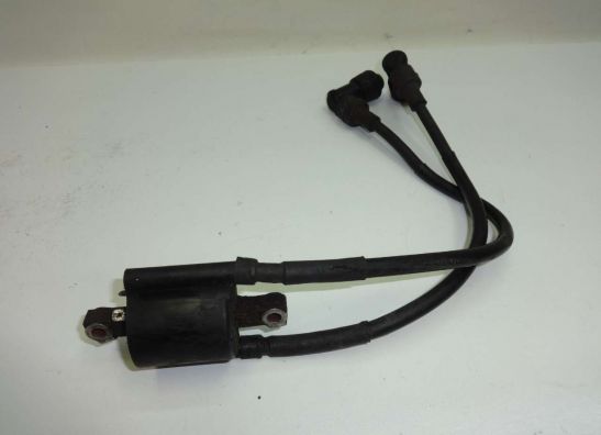 Bobine Yamaha XJ 600 Diversion
