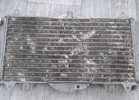 Radiateur Yamaha FZR 600