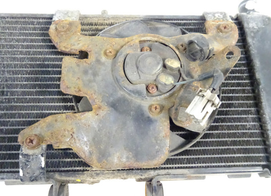 Kuhler Honda NC 700 X